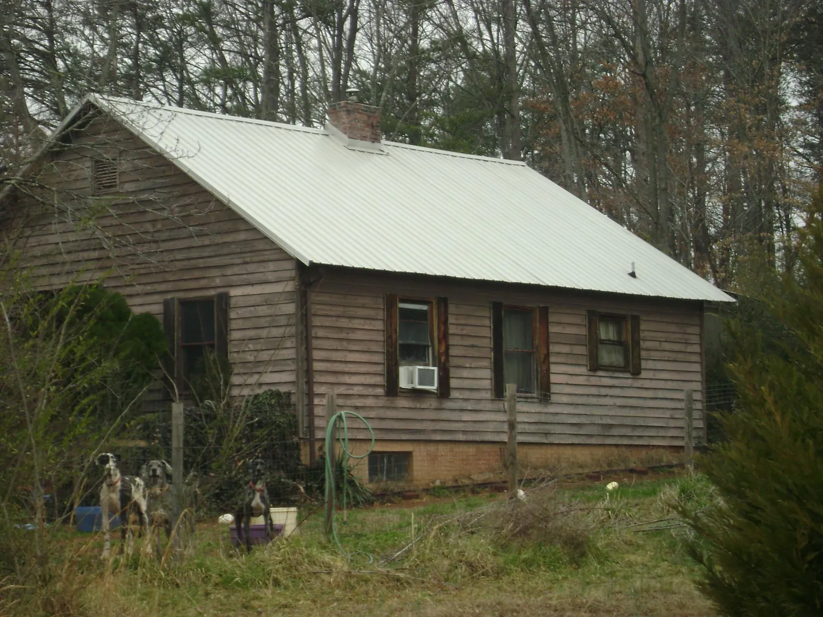 White metal roof on an old wood sided farmhouse, from a Asphalt Shingle Roof Repair job in Clark